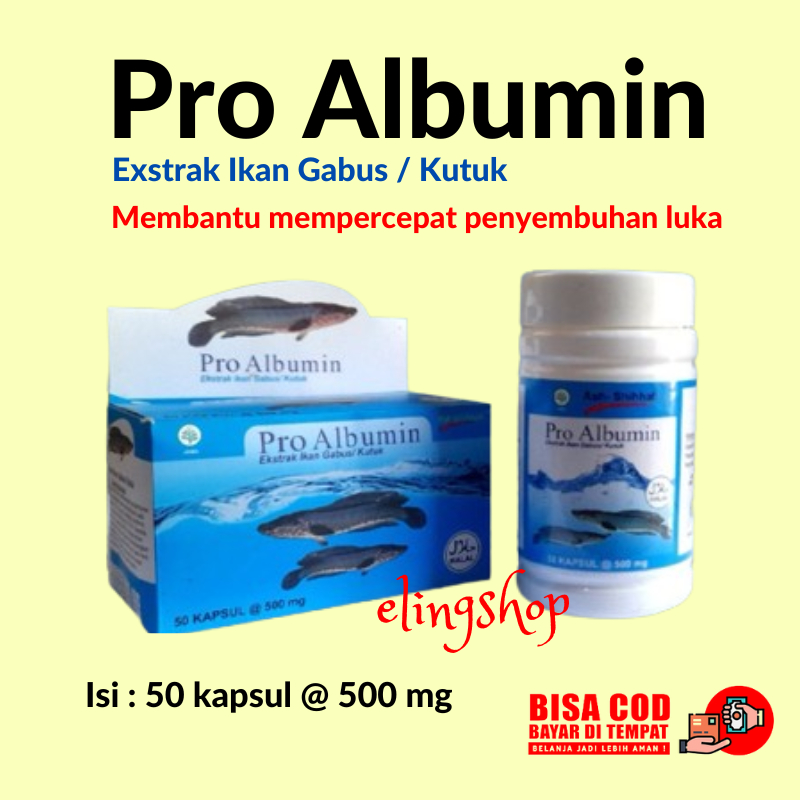 Kapsul Ikan Gabus Kutuk Albumin Obat Herbal
