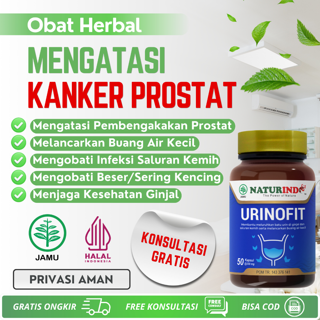 Obat Prostat Herbal Tanpa Operasi Infeksi Saluran Kemih Kanker Prostat Paling Ampuh Pembengkakan Pro