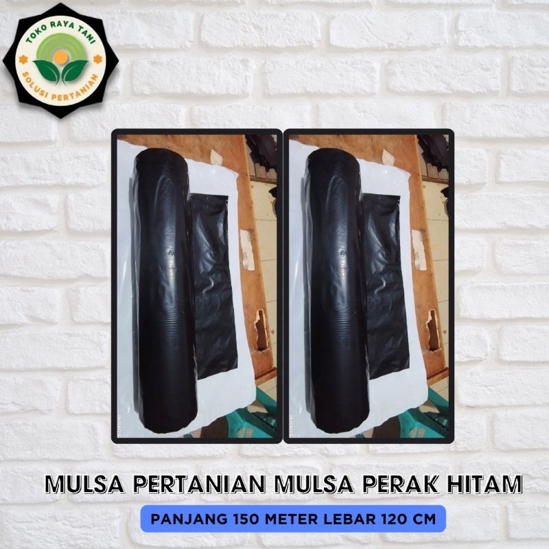 Jual MULSA PERTANIAN Mulsa Plastik Hitam Perak Lebar 120cm Panjang 1 rol 150m
