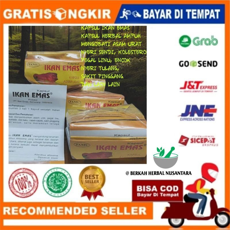 JAMU ASAM URAT PEGEL LINU CAP IKAN MAS