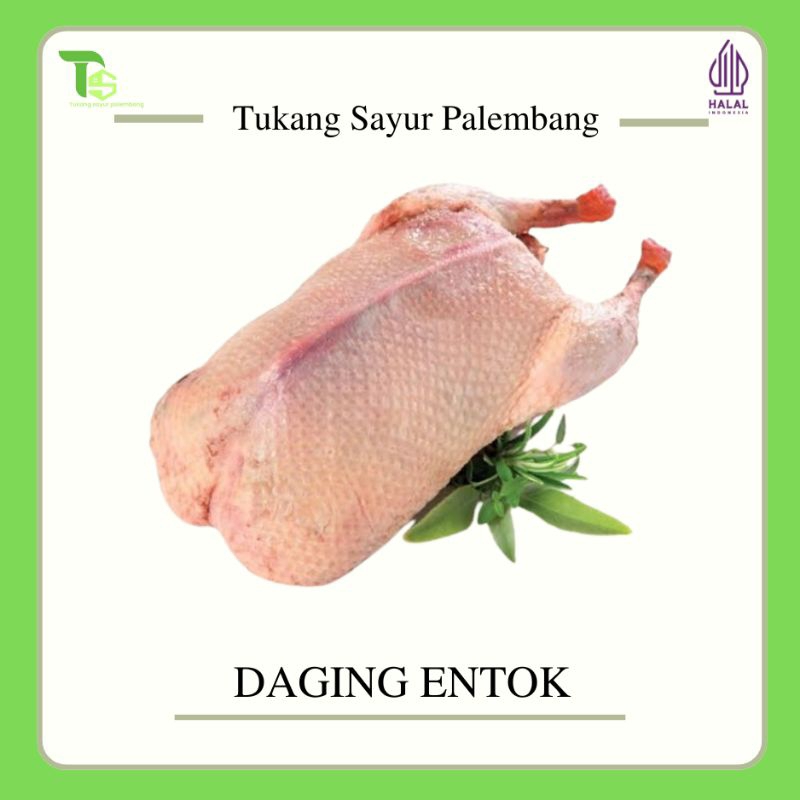 

BEBEK, ENTOK PEDAGING, ENTOK DAGING, SERATI {Palembang}
