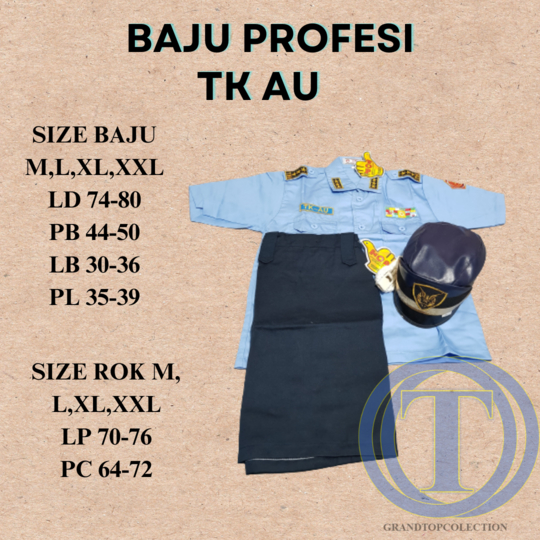 SERAGAM TK/SETELAN PAUD/BAJU PROFESI/SETELAN AU(Angkatan Udara)
