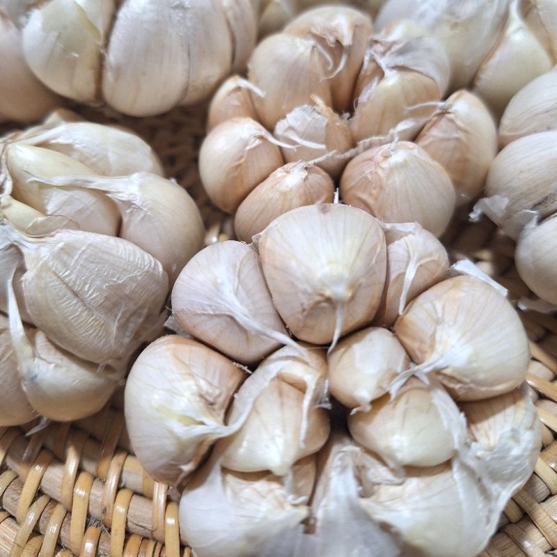 

Bawang Putih 500 Gram