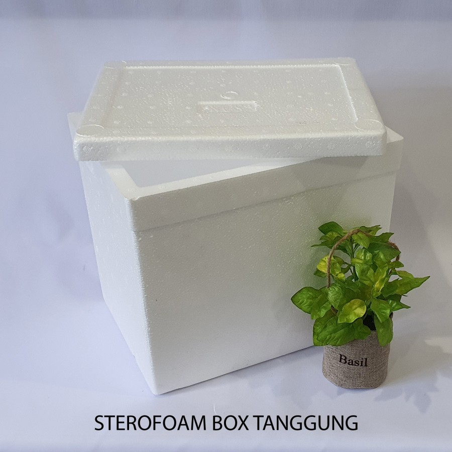 Sterofoam Box Tanggung 33x24x30 cm Styrofoam Gabus Cooler foam Box 30 Esbatu Ikan Frozen Food Box Es