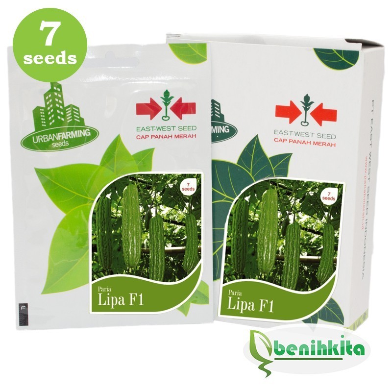 Benih Bibit Paria Lipa F1