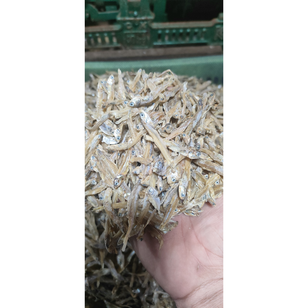 

Ikan tawar kering teri ukuran diatas kecil kalimantan selatan