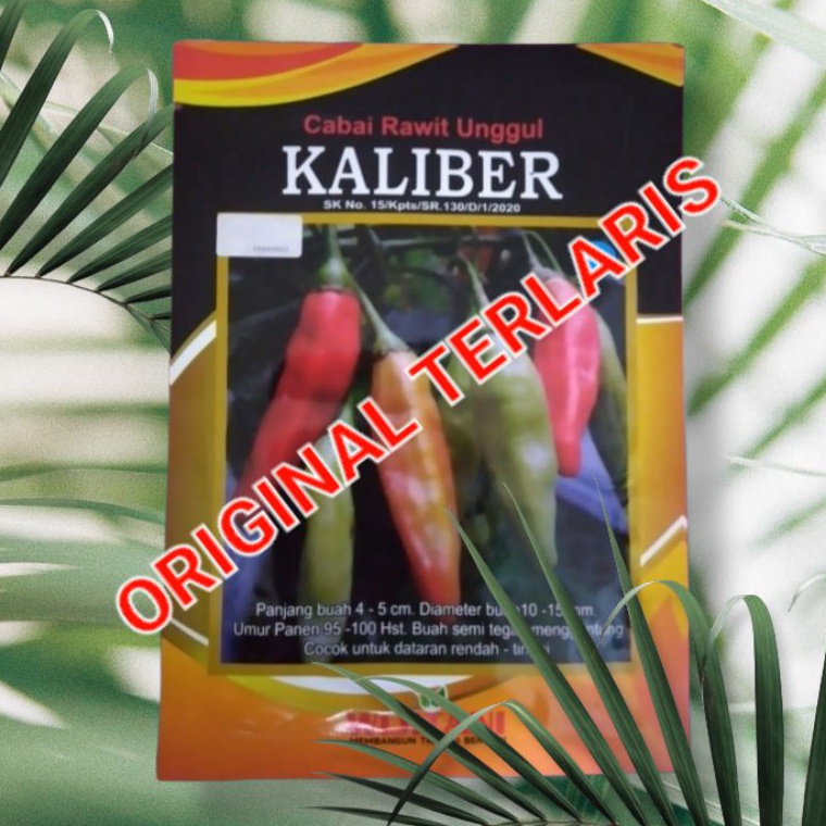 Diskon Spesial Benih Cabe Rawit Kaliber cabai kaliber 1 Gr kemasan pabrik original