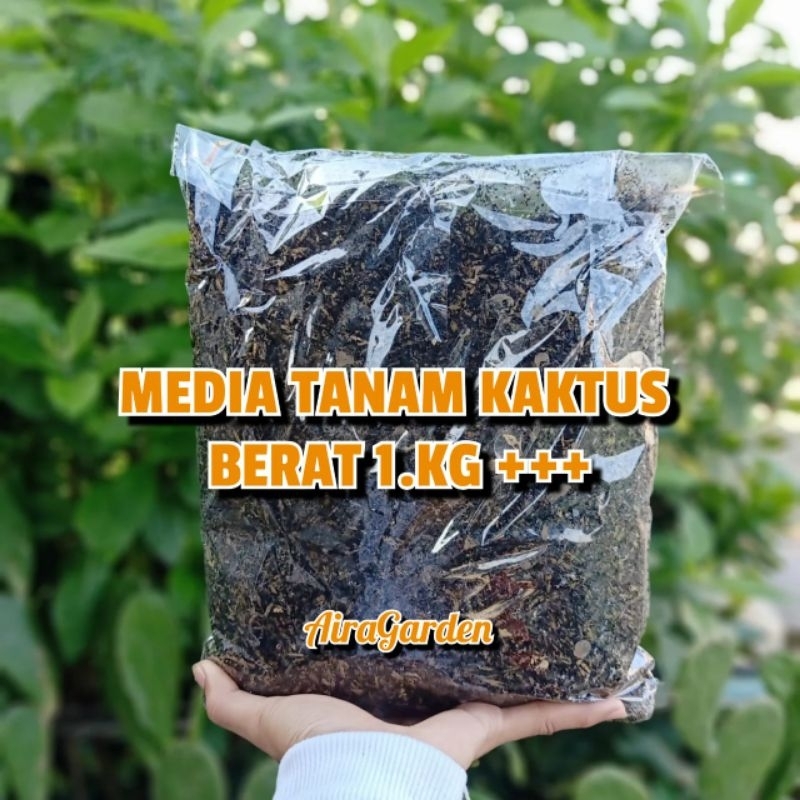 Media tanam Kaktus 1kg++ / Perangsang akar tanaman kaktus / Pupuk Kaktus / Media Tanam