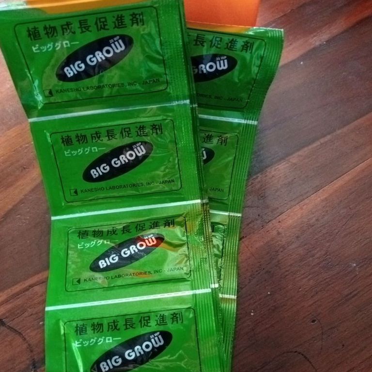 Pasti Laku BIG GROW