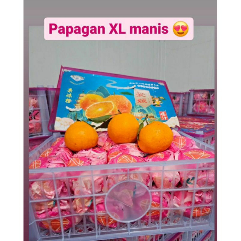 

jeruk papagan XL keranjang 6kg