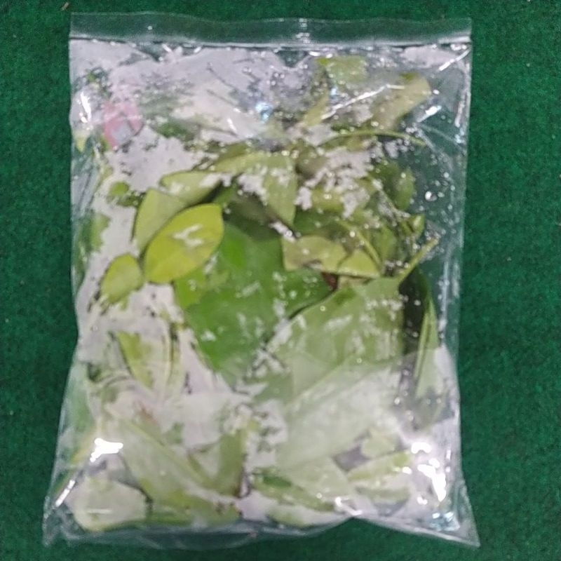 

DAUN SO SEGAR 100 GRAM DENPASAR BALI