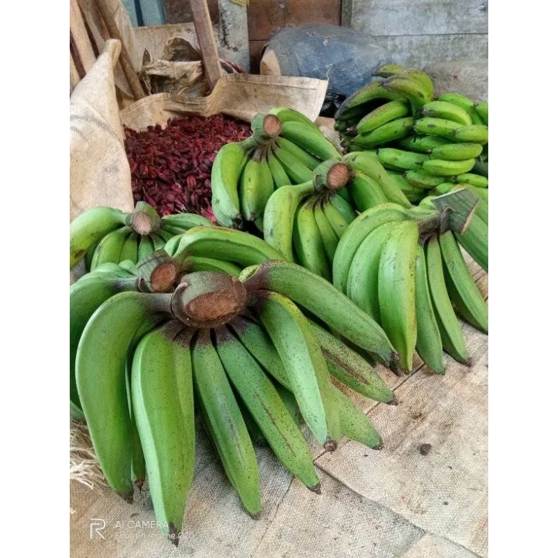 

PISANG NANGKA (mentah untuk kripik)