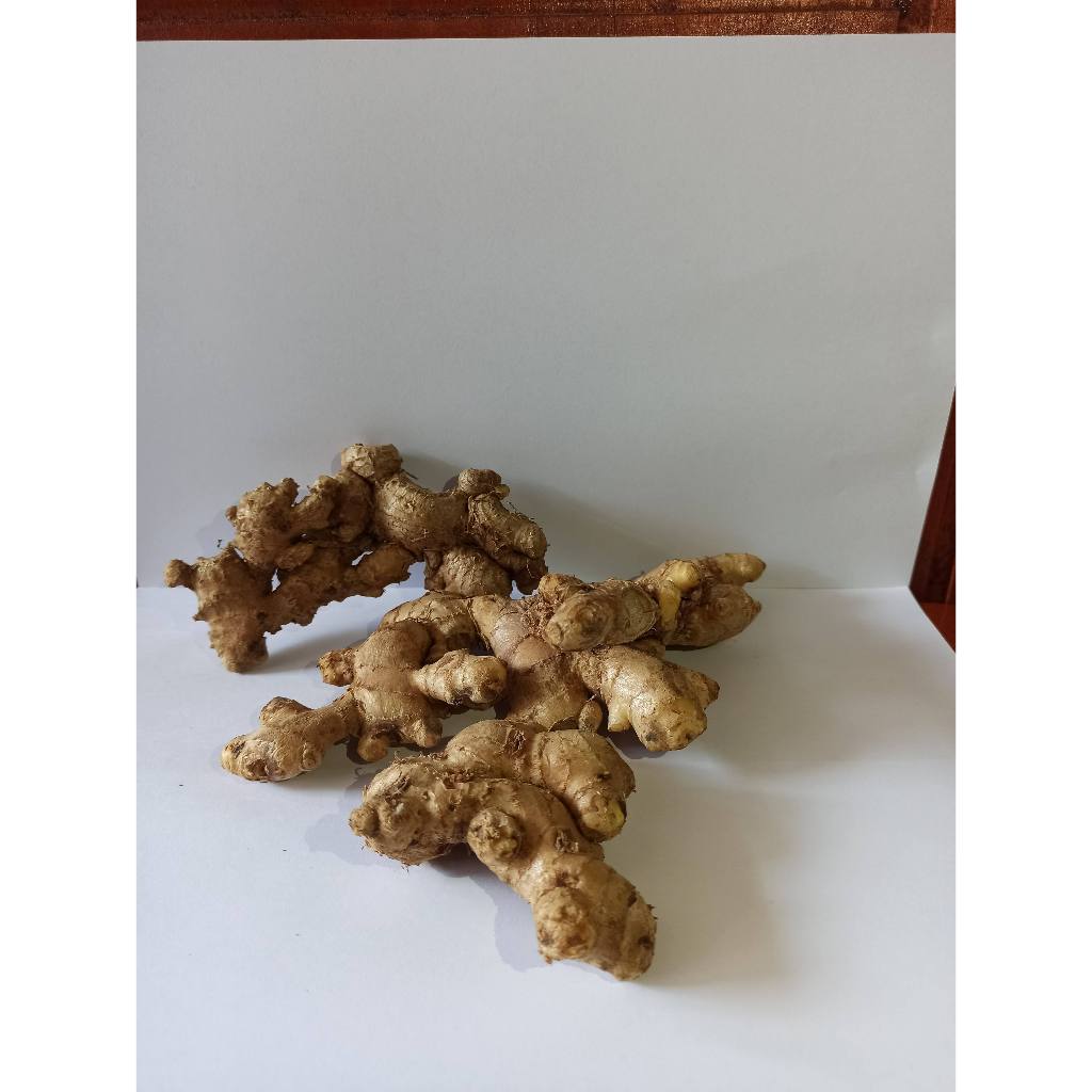 

Jahe Emprit Segar 1 Kg Kualitas Premium | Jae Herbal Fresh Untuk Wedang | Jahi Rempah Organik Uk 500 dan 1.000 Gr