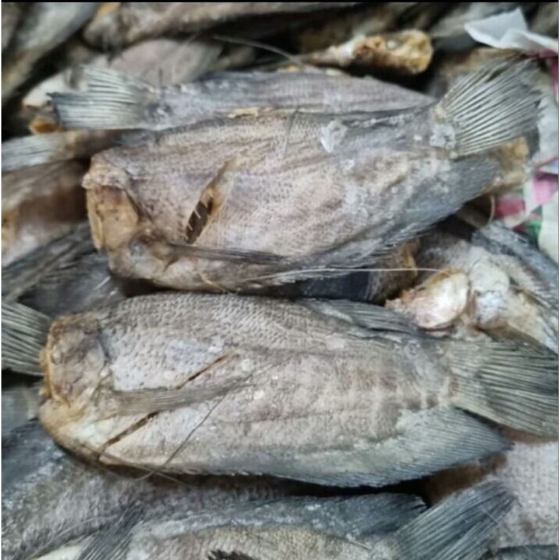 

Ikan Asin Sepat Besar 100gr