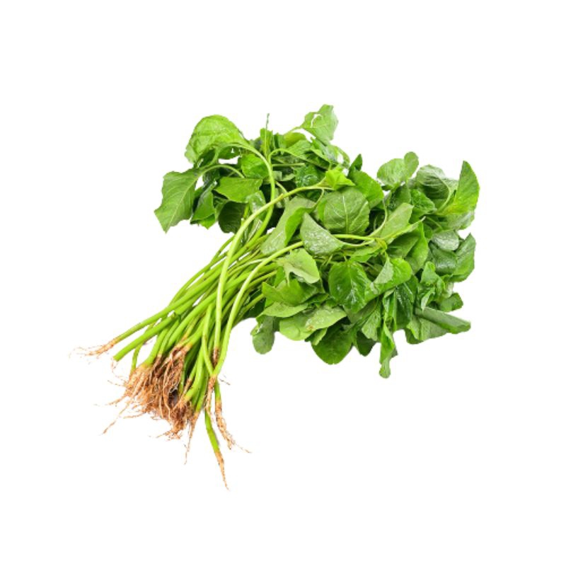 

Bayam segarr