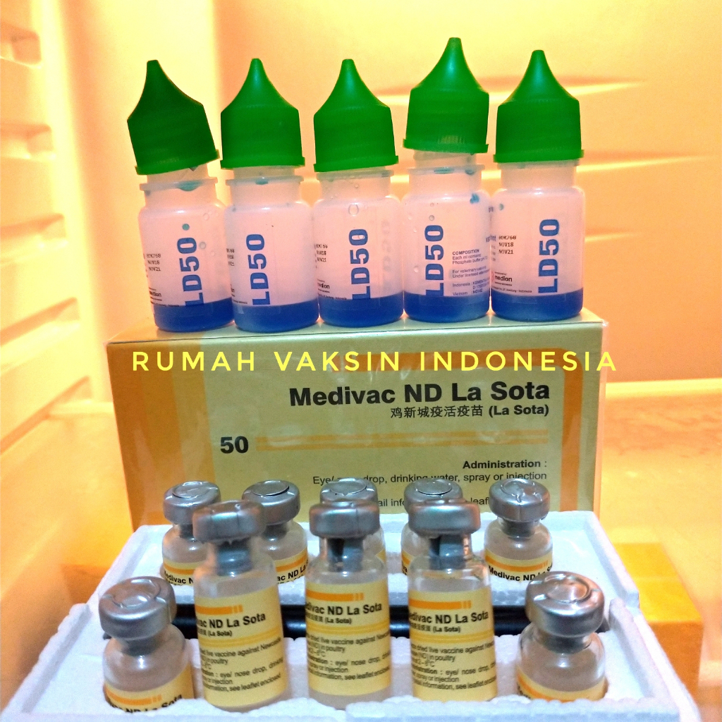 Vaksin Ayam Medivac ND LASOTA dosis untuk 100 500 ayam
