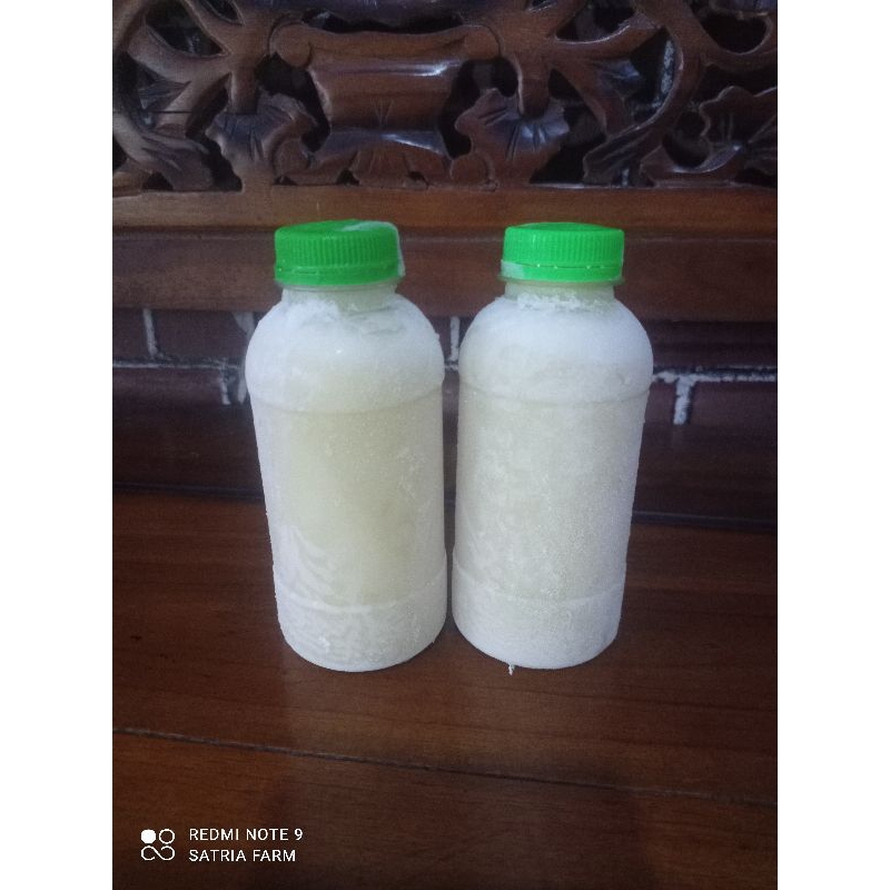 

Colustrum P2, susu kambing 200ml
