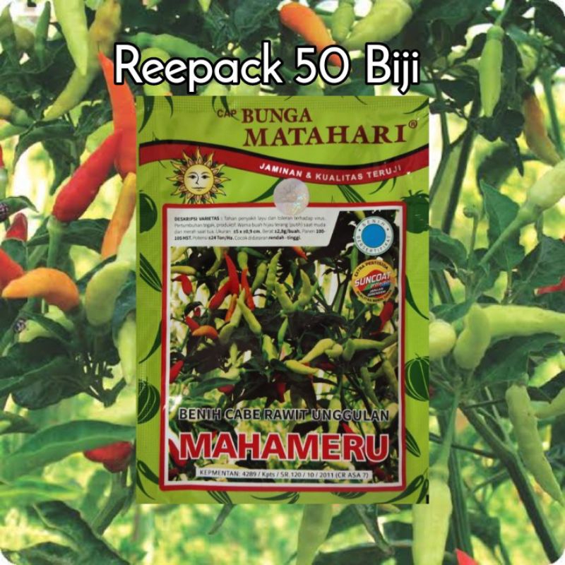 50 Biji Cabe Rawit Mahameru | Cabe Mahameru | Benih Cabai Rawit | Benih Sayuran
