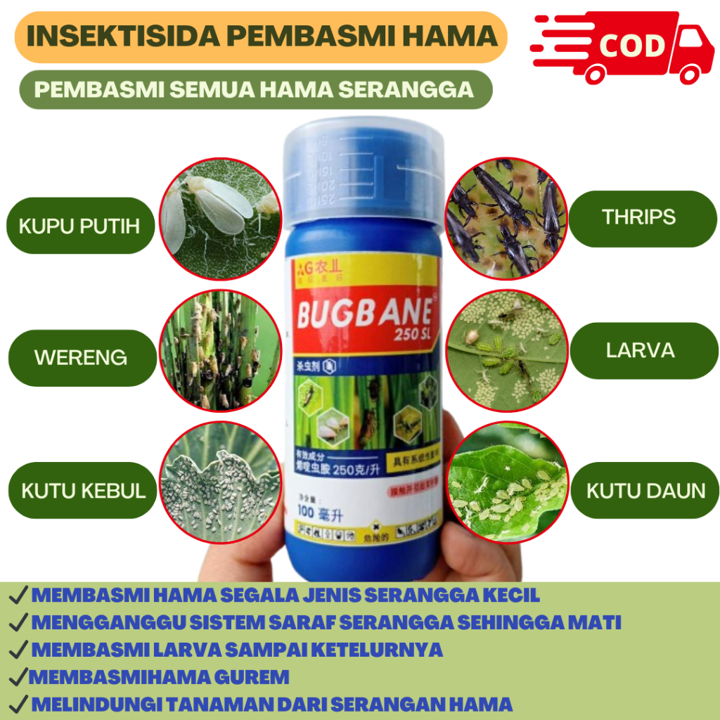 Bugbane Insektisida Hama Wereng Dan Walang Sangit Isi 100ml