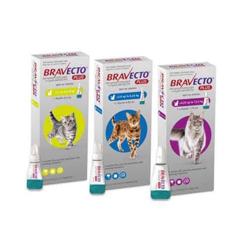 BravectoCat obat kutu kucing