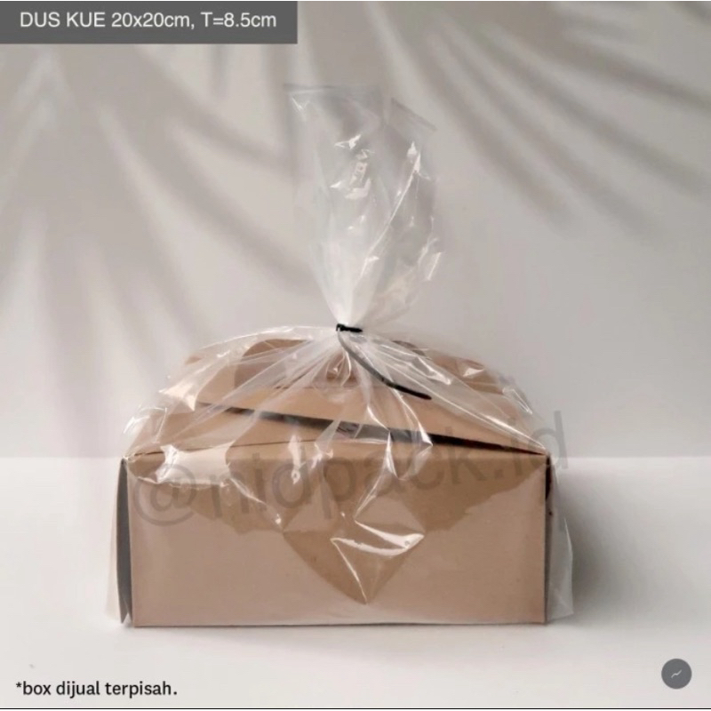 50pcs Plastik Kresek untuk Box 20x20cm