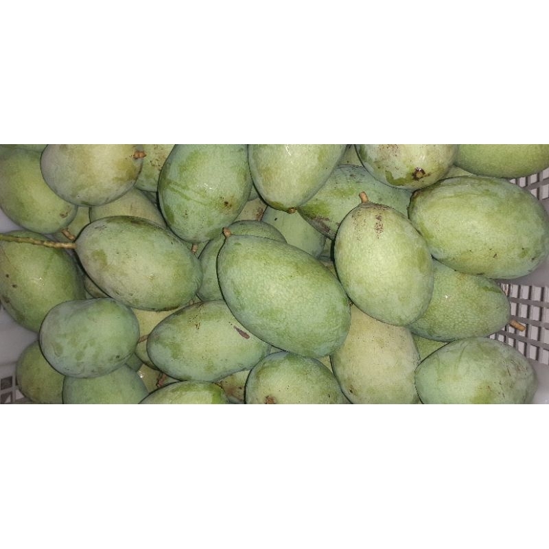 

mangga manalagi Rujak 1 kg