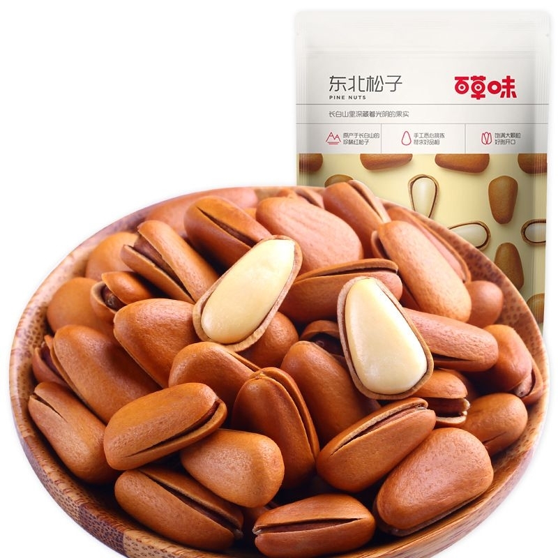 

kacang pinus timur laut unik rasa creemy lembut