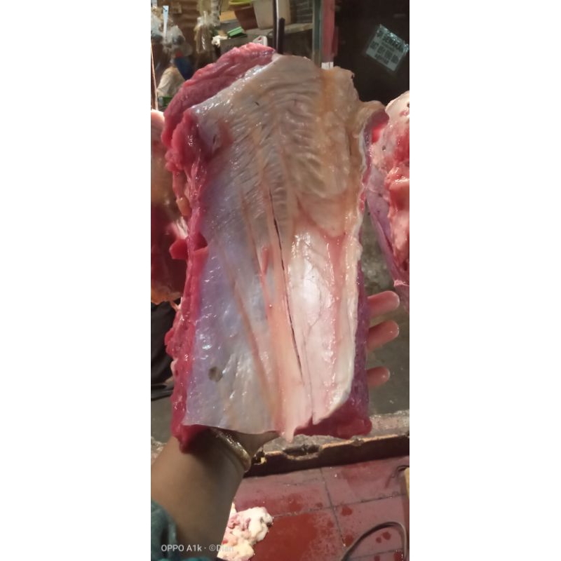 

DAGING SAPI KHAS LUAR (LULUR LUAR)