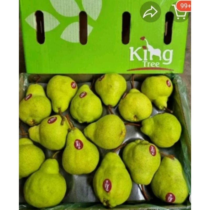 

pear Packham/pear Hijau 1Dus fresh import