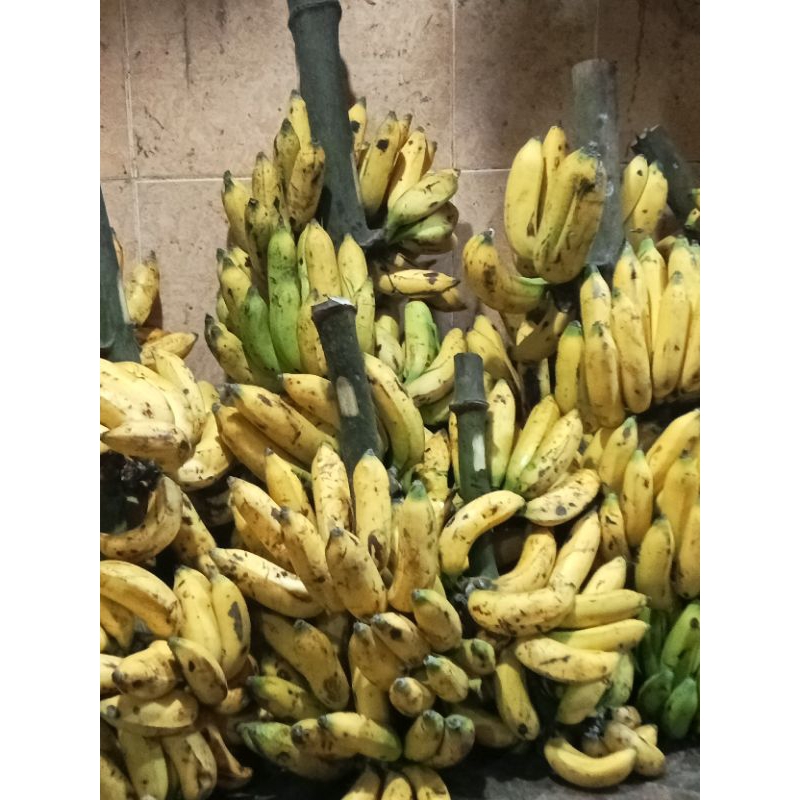 

pisang uli super