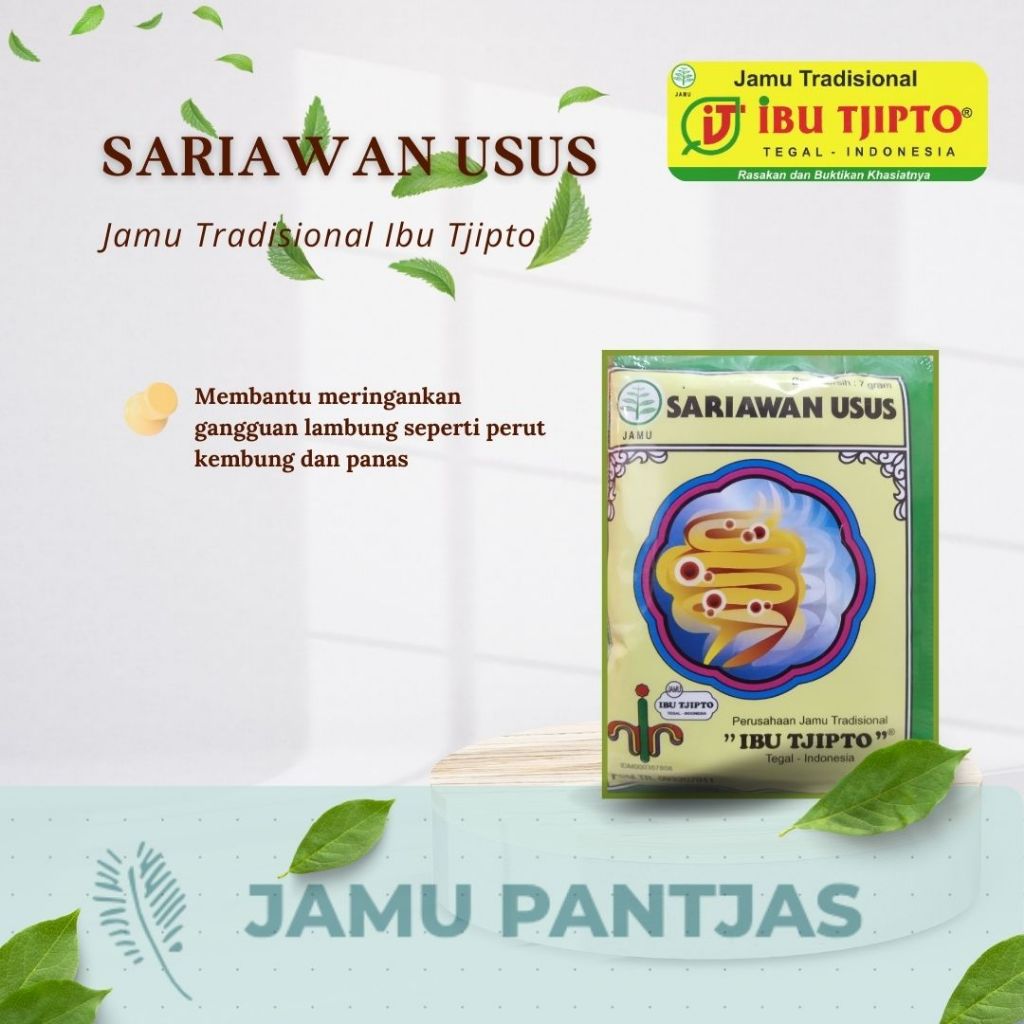 

JAMU SARIAWAN USUS (GANGGUAN PENCERNAAN) ~ IBU TJIPTO ISI 10 SACHET