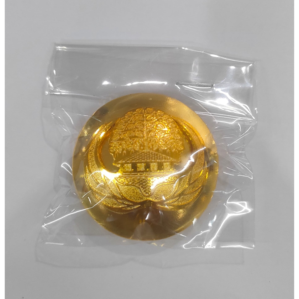 Pin KORPRI terbaru & terlaris /PIN ASN ABDI NEGARA