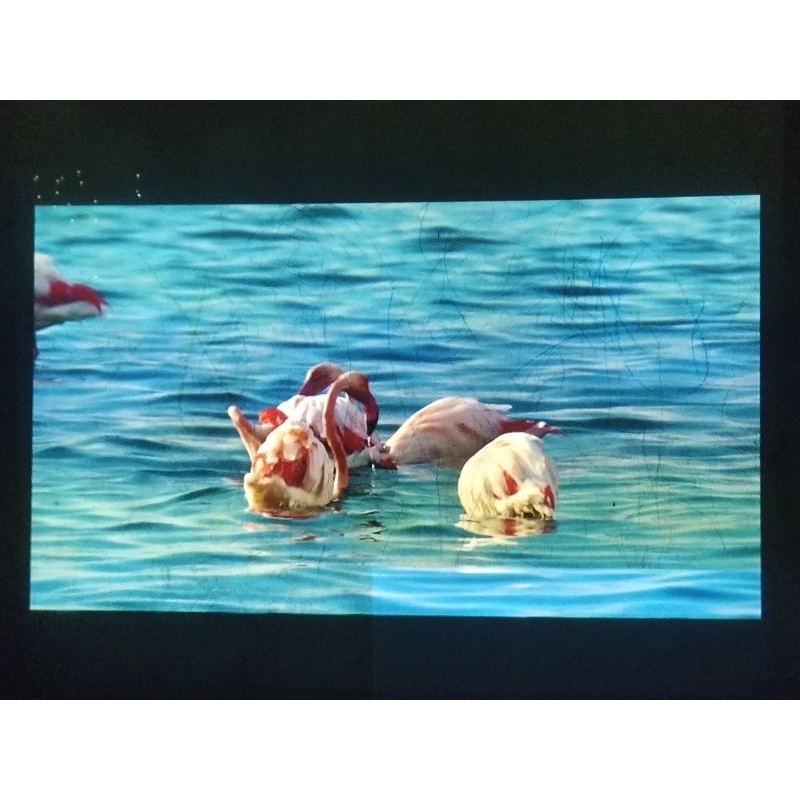 Proyektor NEC NP110 minus