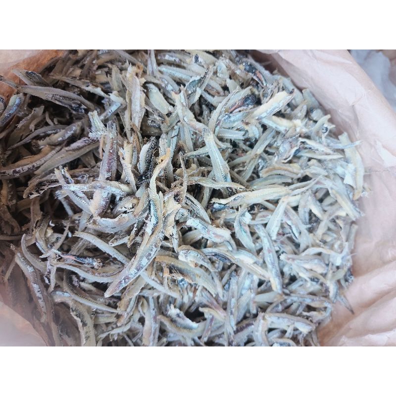 

Ikan teri medan