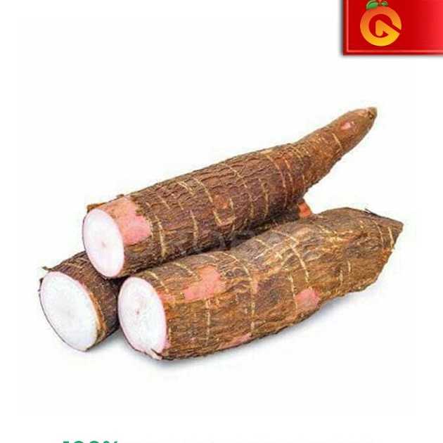 

C6369 SINGKONG FRESH PULEN 1 KG