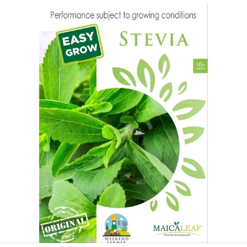 benih tanaman stevia