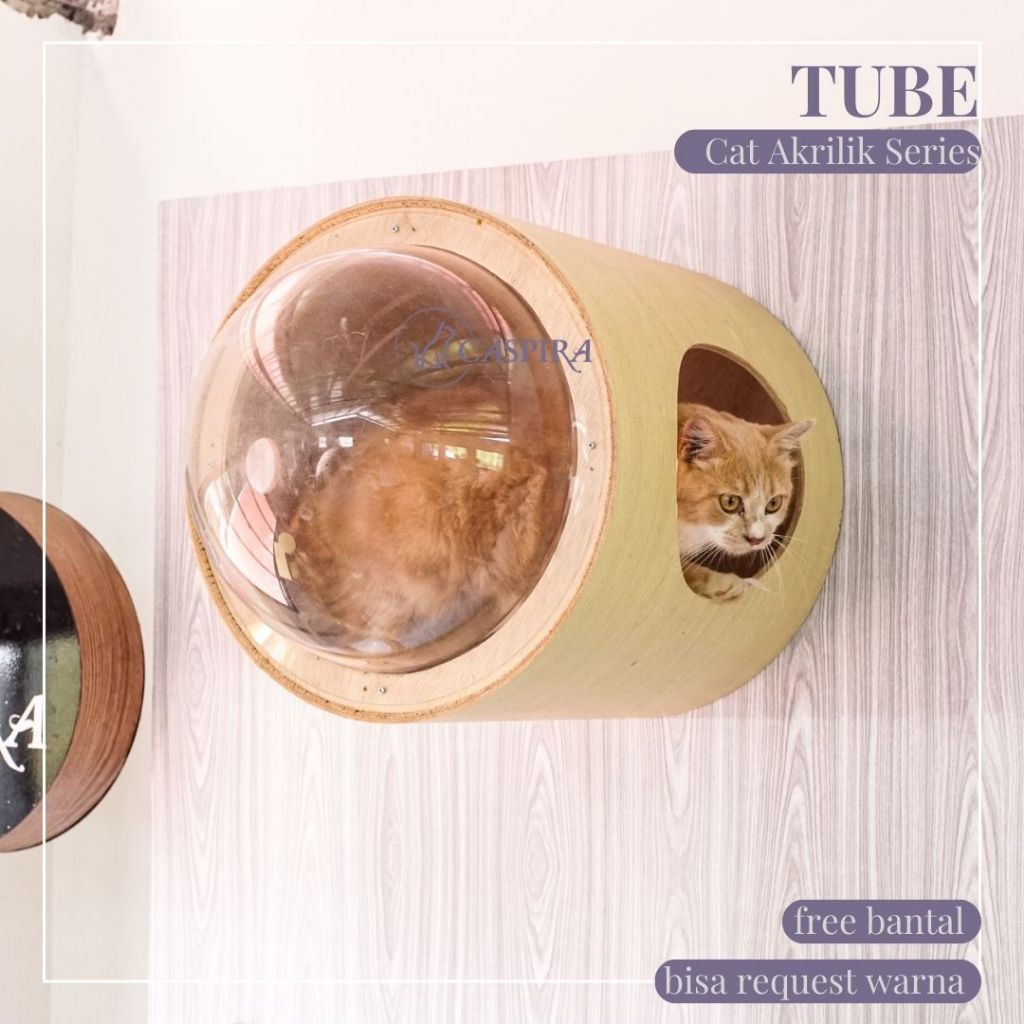 Tube Series Caspira / Cat House - Pet furniture - Panjatan Kucing - Kandang Kucing British - Kitten 