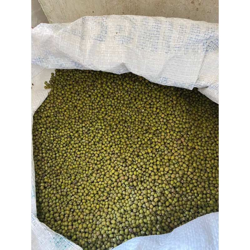 

Kacang Hijau Afrika VAC