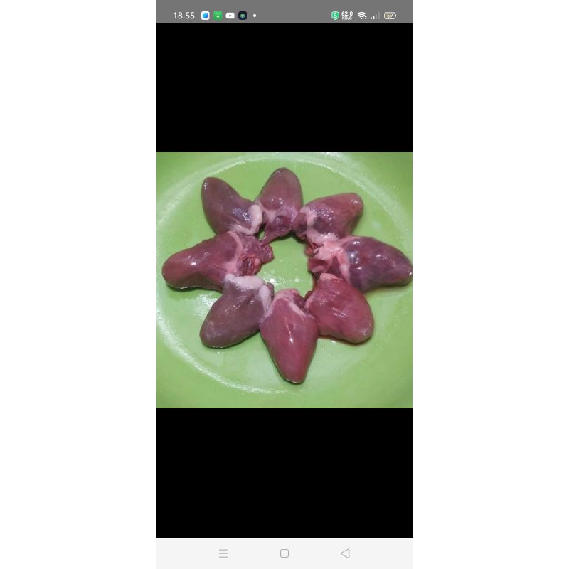 

jantung bebek 500 gram