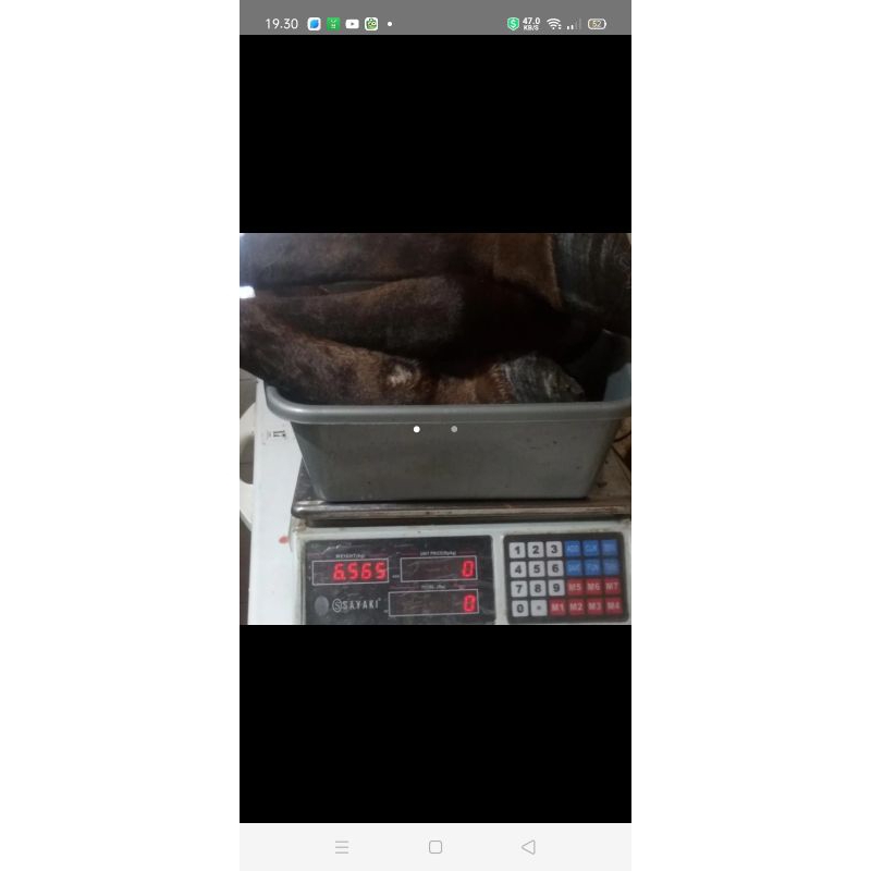 

Kaki kuda paket depan belakang
