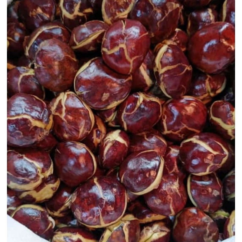 

JENGKOL BEWEH TUA PUL 1KG