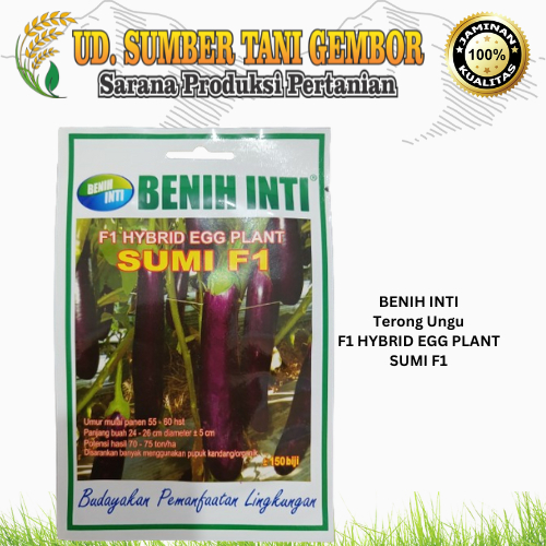 BENIH INTI TERONG UNGU F1 HYBRID EGG PLANT SUMI F1