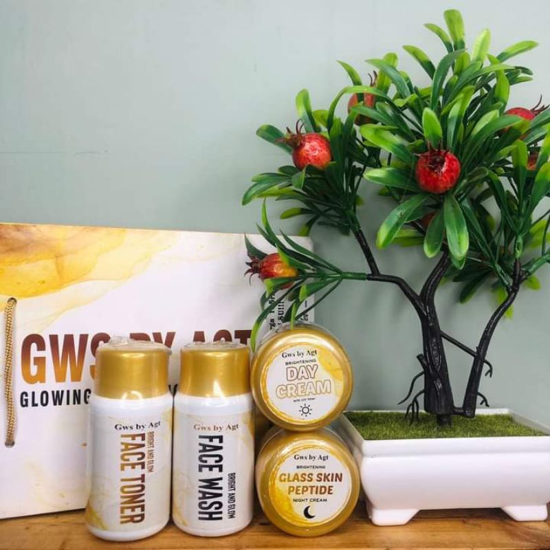 GWS GOLD SKINCARE / GWS SKINCARE BY AGT