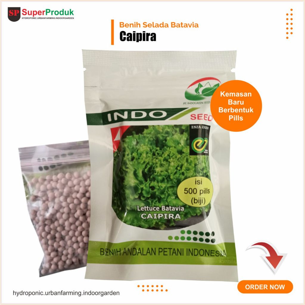 Benih Selada Batavia Caipira kemasan 500pills
