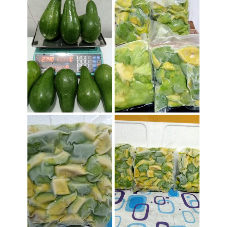 

Terlaris ALPUKAT BEKU APUKAT POTONGAN 5gr