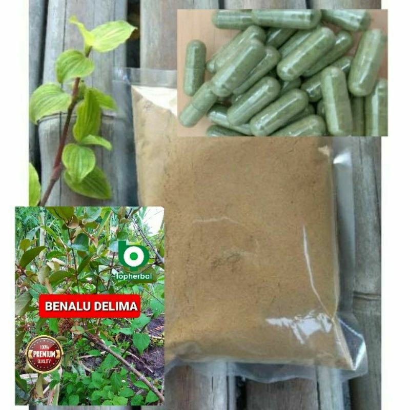 

Kapsul Benalu Delima Premium 100 Kapsul