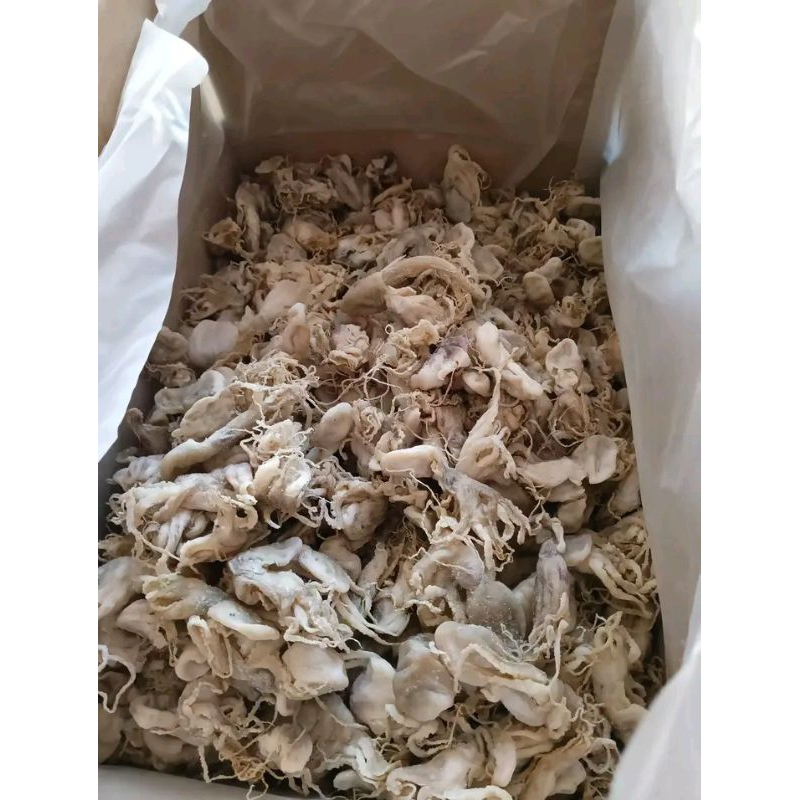 

Gurita Asin/ Gurita Kering Asin 1 Kg