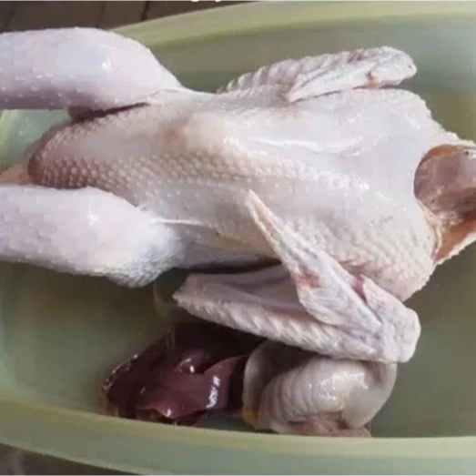 

Daging Ayam Kampung Asli (Fresh langsung dari peternak)