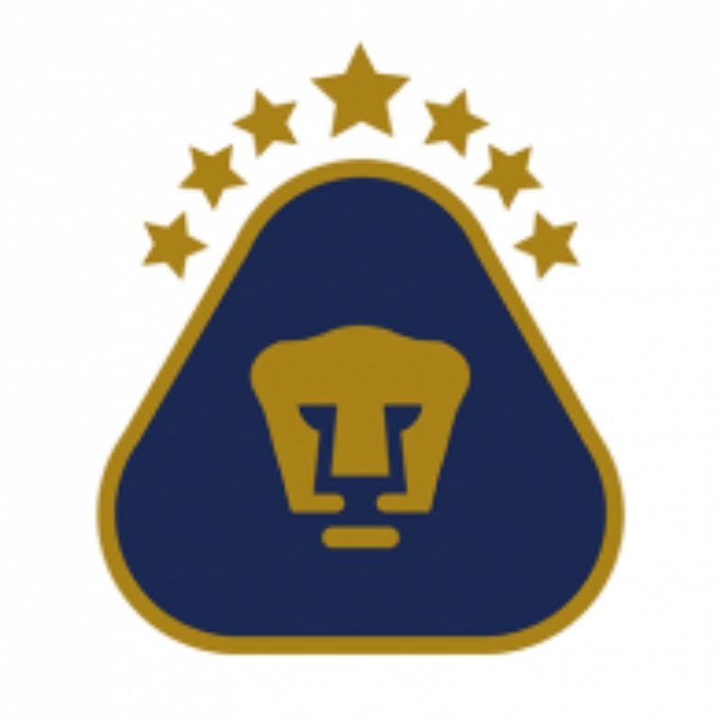 JERSEY PUMAS UNAM (BARU)