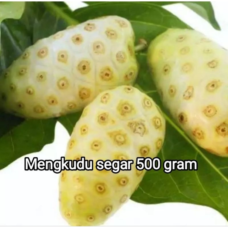 

Buah Mengkudu / pace segar 500 gram